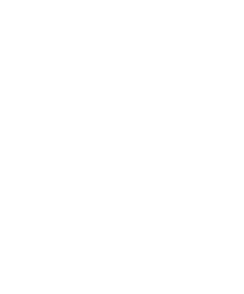 white_logo_glvl